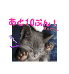 心の友ネコ「にゃかの先生」第3段（個別スタンプ：18）