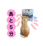 心の友ネコ「にゃかの先生」第3段（個別スタンプ：19）