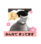 心の友ネコ「にゃかの先生」第3段（個別スタンプ：20）