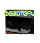心の友ネコ「にゃかの先生」第3段（個別スタンプ：21）