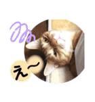 心の友ネコ「にゃかの先生」第3段（個別スタンプ：22）