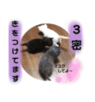 心の友ネコ「にゃかの先生」第3段（個別スタンプ：28）