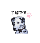 とっても使いやすいアニー犬スタンプ（個別スタンプ：2）