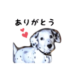 とっても使いやすいアニー犬スタンプ（個別スタンプ：6）