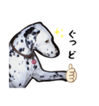 とっても使いやすいアニー犬スタンプ（個別スタンプ：8）