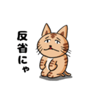 ねこきちは気持ちを伝えたい（個別スタンプ：23）