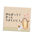 ナチュラルメッセージカード☆猫たち（個別スタンプ：13）