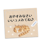 ナチュラルメッセージカード☆猫たち（個別スタンプ：23）
