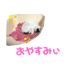 ルルの日常(時々セブン)（個別スタンプ：3）