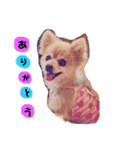 とわまる②（個別スタンプ：1）