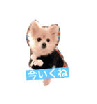 とわまる②（個別スタンプ：7）