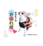 メイちゃん♡スタンプ（個別スタンプ：4）