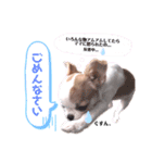 メイちゃん♡スタンプ（個別スタンプ：7）