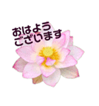 大人の花すたんぷ 優しい言葉（個別スタンプ：3）