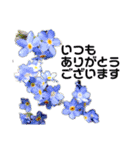 大人の花すたんぷ 優しい言葉（個別スタンプ：21）