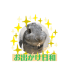 よしおの日常3（個別スタンプ：1）
