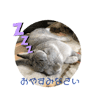 よしおの日常3（個別スタンプ：2）