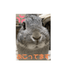 よしおの日常3（個別スタンプ：5）