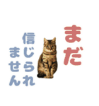ミルク カギシッポの猫（個別スタンプ：12）