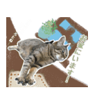 ミルク カギシッポの猫（個別スタンプ：15）