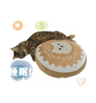 ミルク カギシッポの猫（個別スタンプ：20）