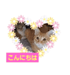 おもしろい写真スタンプ（個別スタンプ：1）