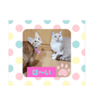 おもしろい写真スタンプ（個別スタンプ：3）
