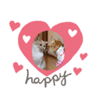 おもしろい写真スタンプ（個別スタンプ：4）
