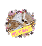 おもしろい写真スタンプ（個別スタンプ：5）