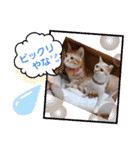 おもしろい写真スタンプ（個別スタンプ：7）
