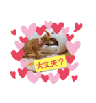 おもしろい写真スタンプ（個別スタンプ：10）