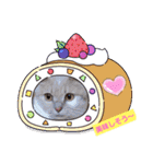 おもしろい写真スタンプ（個別スタンプ：23）
