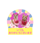 おもしろい写真スタンプ（個別スタンプ：33）