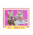 おもしろい写真スタンプ（個別スタンプ：34）