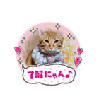 おもしろい写真スタンプ（個別スタンプ：35）