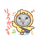 わが家のゴマ様（個別スタンプ：2）