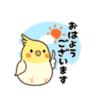 【敬語＆丁寧語】働く大人のオカメインコ（個別スタンプ：1）