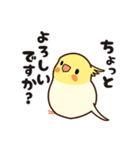 【敬語＆丁寧語】働く大人のオカメインコ（個別スタンプ：16）