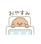 毎日使える♡トイプードル（個別スタンプ：40）