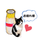 ミー介で候 其一（個別スタンプ：3）