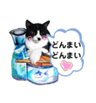 ミー介で候 其一（個別スタンプ：5）