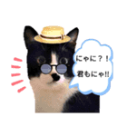 ミー介で候 其一（個別スタンプ：6）