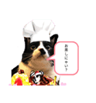 ミー介で候 其一（個別スタンプ：7）