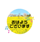 素敵な景色すたんぷ 大人の方へ（個別スタンプ：9）