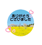 素敵な景色すたんぷ 大人の方へ（個別スタンプ：10）