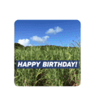 HappyBirthday！ ThankYou！＆OK！Okinawa（個別スタンプ：6）