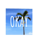 HappyBirthday！ ThankYou！＆OK！Okinawa（個別スタンプ：24）