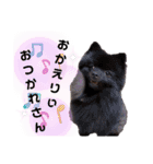 akis スタンプ（個別スタンプ：2）