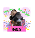 akis スタンプ（個別スタンプ：18）