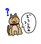 どうぶつたちはなかまたち➃～犬編～（個別スタンプ：2）